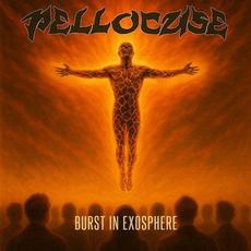 Burst In Exosphere mp3 Album by Pellocuse