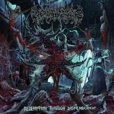 Redemption Through Dismemberment mp3 Album by Desvirginizagore