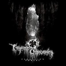 Perdition Portal mp3 Album by Fragments of Unbecoming