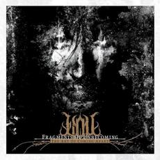 The Art of Coming Apart: Chapter V mp3 Album by Fragments of Unbecoming