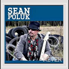 Never mp3 Album by Sean Poluk
