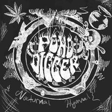 Nocturnal Hymnal mp3 Album by PondDigger