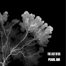 The Last of Us mp3 Album by Pearl Jam
