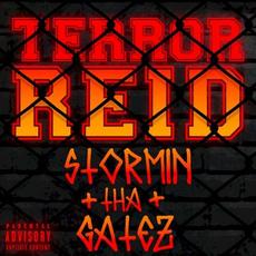 Stormin tha Gatez mp3 Single by Terror Reid