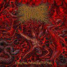 Expiation Through Affliction mp3 Album by Ingesting Purulence