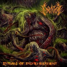 Rituals of Dismemberment mp3 Album by Goremitory