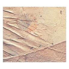 Lake Deep Memory mp3 Album by Pye Corner Audio