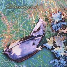 The EP mp3 Album by Disastroid
