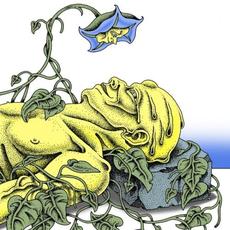 Hooveriii mp3 Album by Hooveriii