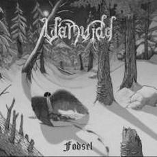 Fødsel mp3 Album by Vanvidd