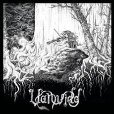 Vanvidd mp3 Album by Vanvidd