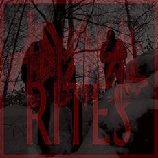 Devastated mp3 Single by Abysmal Rites