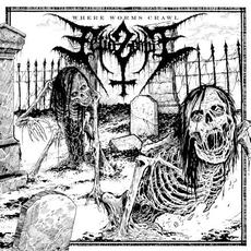 Where Worms Crawl mp3 Album by Fetid Zombie