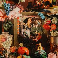 Vyöry mp3 Album by Rebekka Holi