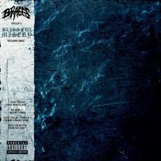 Blissful Misery mp3 Single by Braces