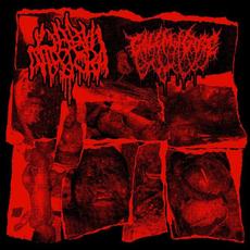 Labia Majora & Golem Of Gore mp3 Compilation by Various Artists
