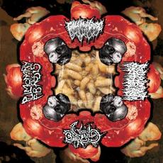 Golem of Gore / Redundant Protoplasm / Gore / Pulmonary Fibrosis mp3 Compilation by Various Artists