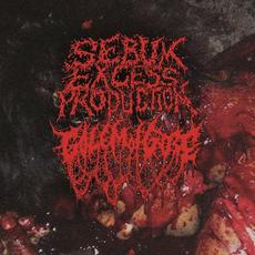 Only Gore Is Real mp3 Compilation by Various Artists