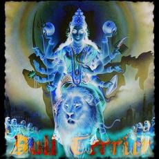 Demo 2012 mp3 Single by Bull Terrier