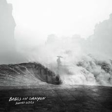 Second Cities mp3 Album by Babes In Canyon