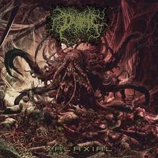 Xalaxial mp3 Album by Divinite Hive