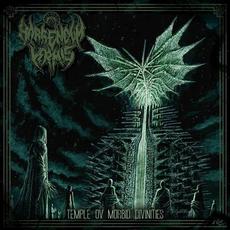 Temple ov Morbid Divinities mp3 Album by Horrendum Vermis