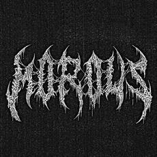 Morous mp3 Album by Morous