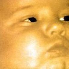 Now I Am Me mp3 Album by Voom