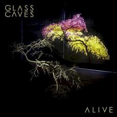 Alive mp3 Single by Glass Caves