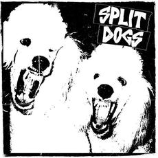 Split Dogs mp3 Album by Split Dogs