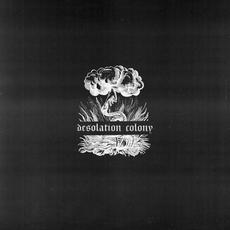 Desolation Colony mp3 Album by Desolation Colony
