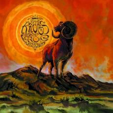 VII mp3 Album by The Kings of Frog Island