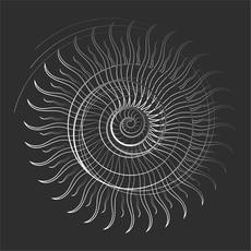 Tales from a Silent Ocean mp3 Album by Muricidae