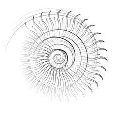 Tears Are Stronger Than Waves mp3 Album by Muricidae