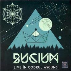 Live În Codrul Ascuns mp3 Live by Bucium