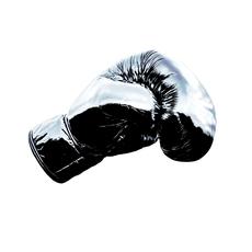 Roll With The Punches (Super Deluxe Edition) mp3 Album by Bryan Adams