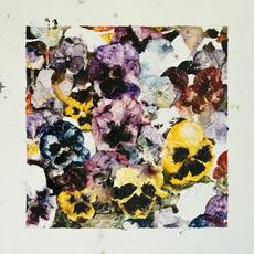 Suspiro... mp3 Album by Maria Reis