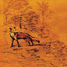 Forgotten mp3 Album by Maebi