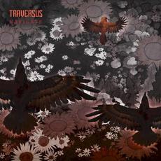 Navigate mp3 Album by Traversus