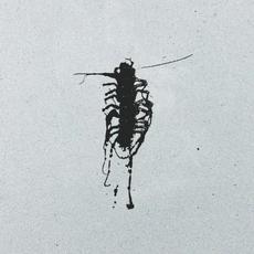 Goon mp3 Album by Ivy Gardens