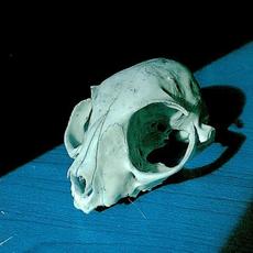 Ivy Gardens mp3 Album by Ivy Gardens