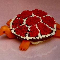 Turtle Rock mp3 Album by Sharp Pins