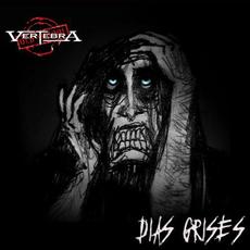 Días Grises mp3 Album by Vertebra
