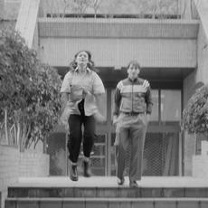 Drops mp3 Single by Terrain Vague