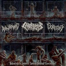 Subjected to Insanity Through Solitary Confinement mp3 Compilation by Various Artists