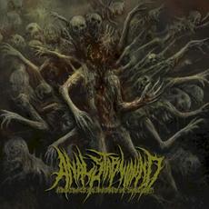 Abstraction Bathes in Sunlight mp3 Album by Anal Stabwound