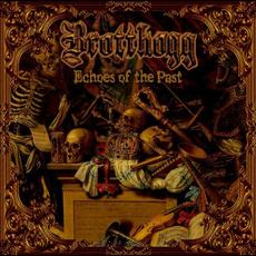 Echoes of the Past (Special Edition) mp3 Album by Brotthogg