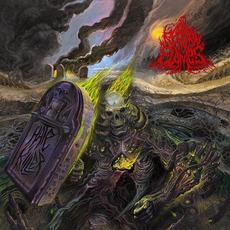 Hate Killer mp3 Album by Reborn in Flames