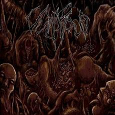 Inclination mp3 Album by Vulnificus