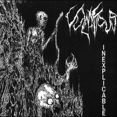 Inexplicable mp3 Artist Compilation by Vulnificus